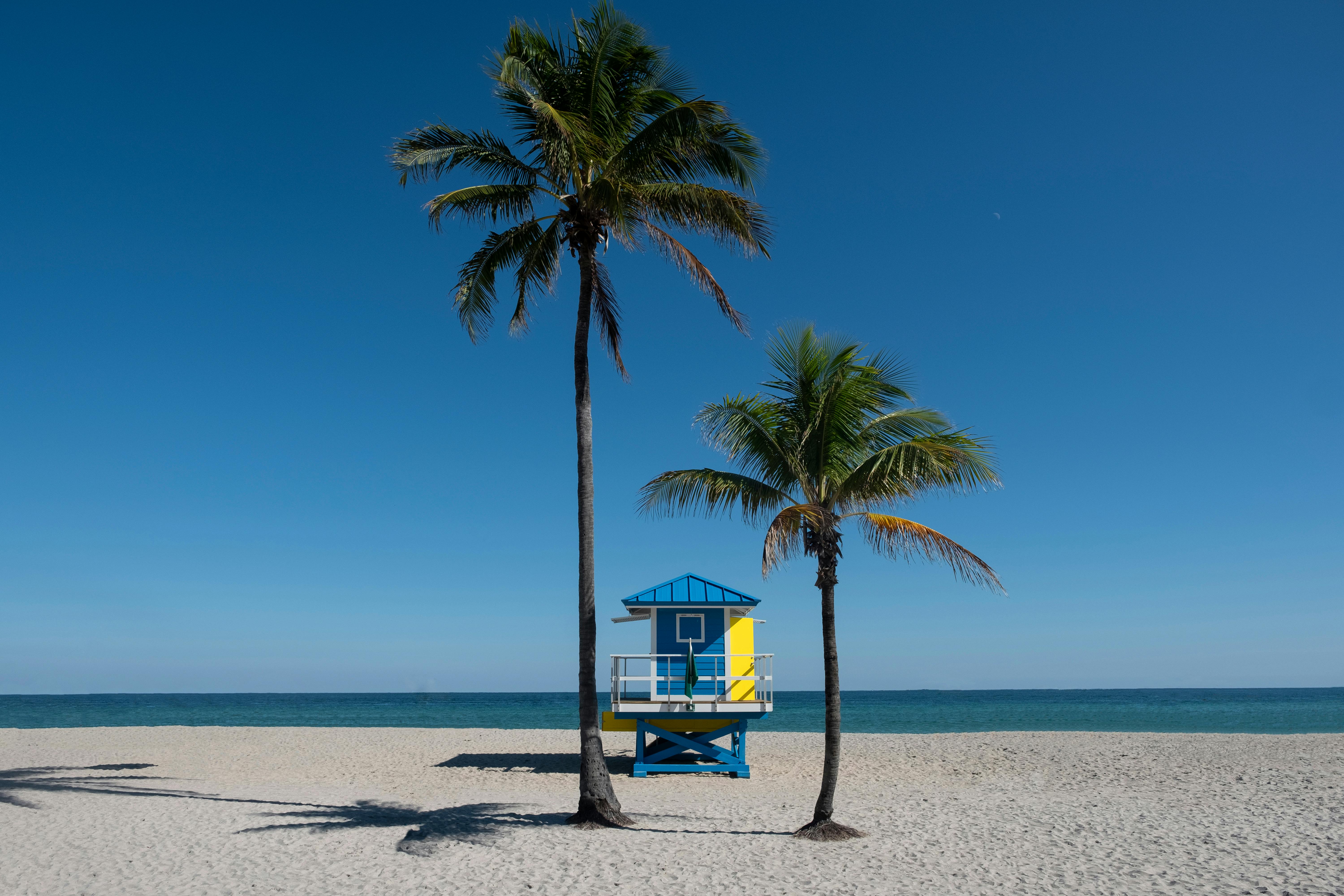 Top 7 Must-Visit Attractions in South Florida for Vacationers 🌴✨